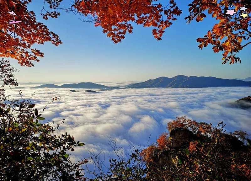 遼寧秋季旅遊全攻略：楓葉、紅海灘與金色稻田的盛宴