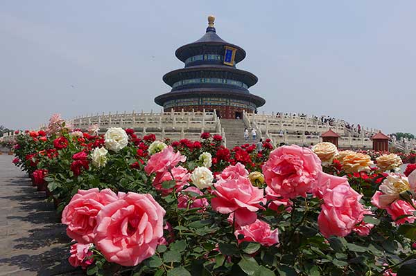 天坛美景
