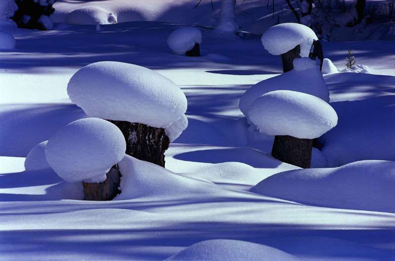 ❄️ 尋覓冰雪仙境：冬季新疆雪景全攻略 🌨