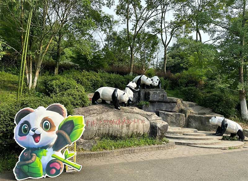 🐼 成都出發看四川熊貓全攻略：大巴、高鐵、自駕與直升機路線一次搞定