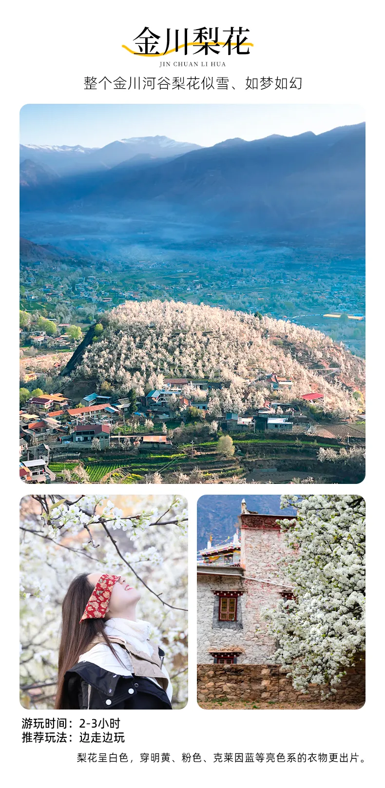 金川梨花